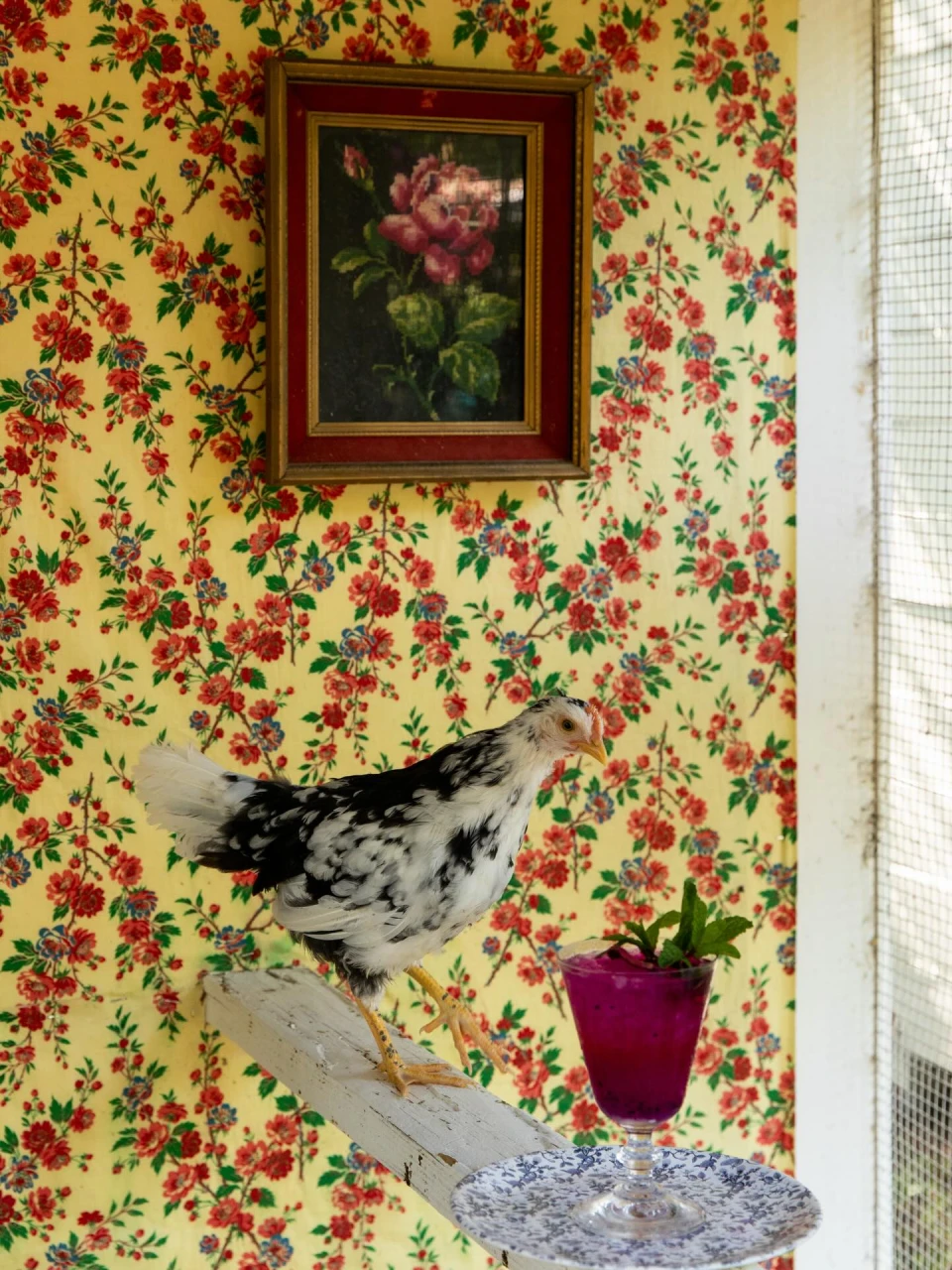 instagram gallery image