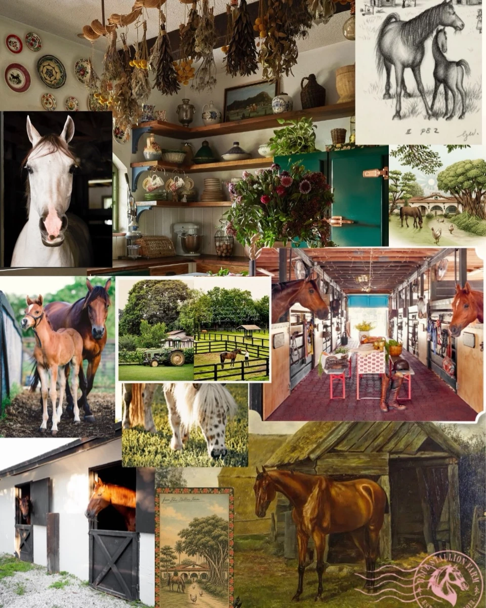 instagram gallery image