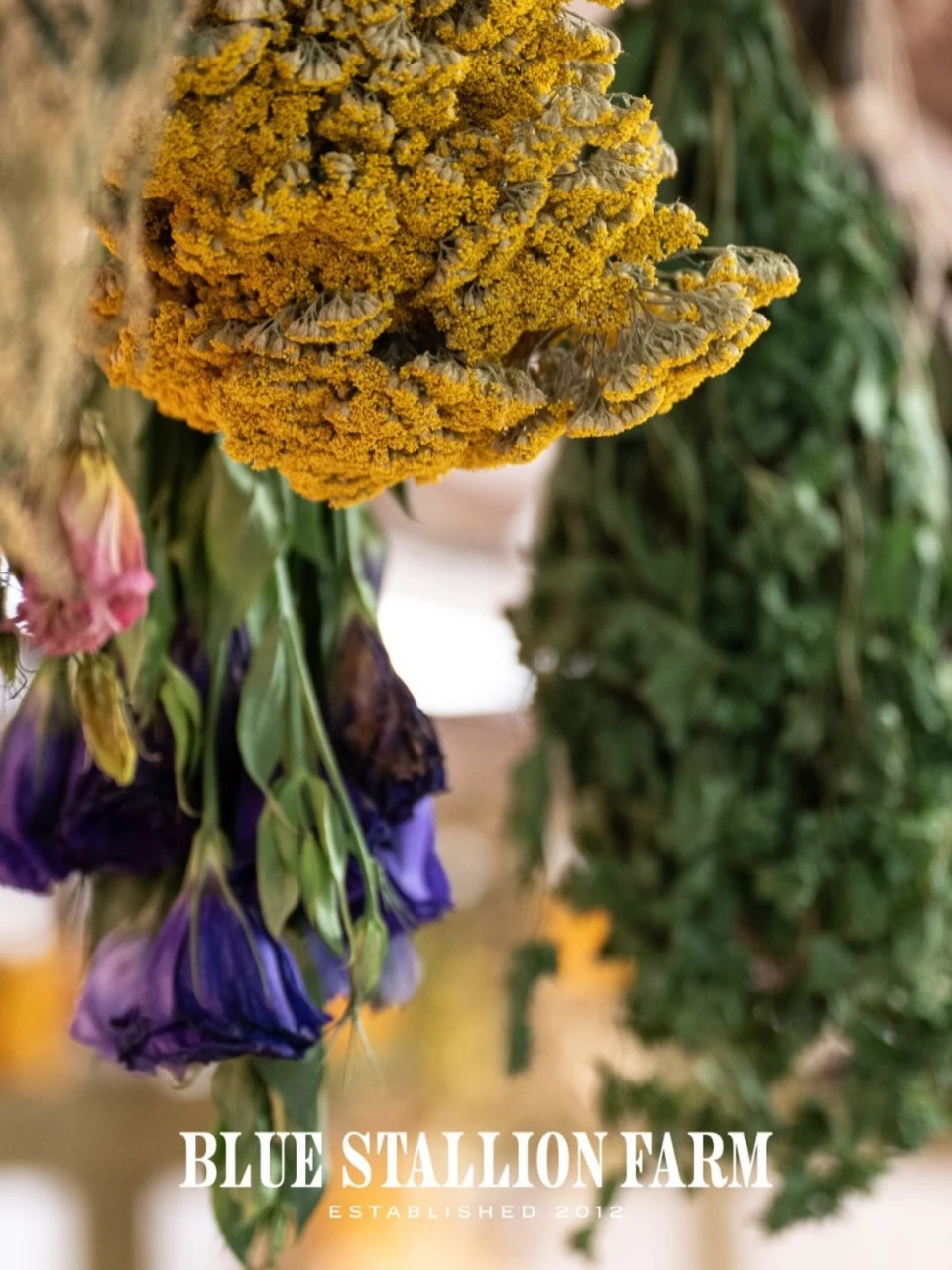 instagram gallery image