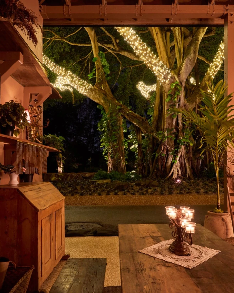 instagram gallery image