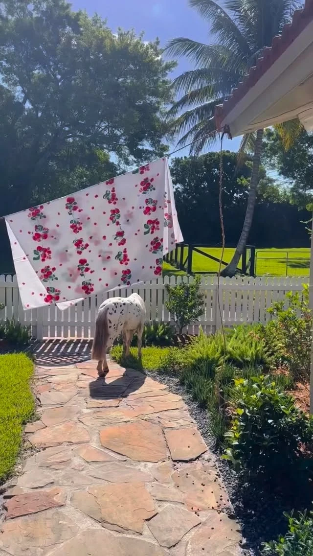 instagram gallery image