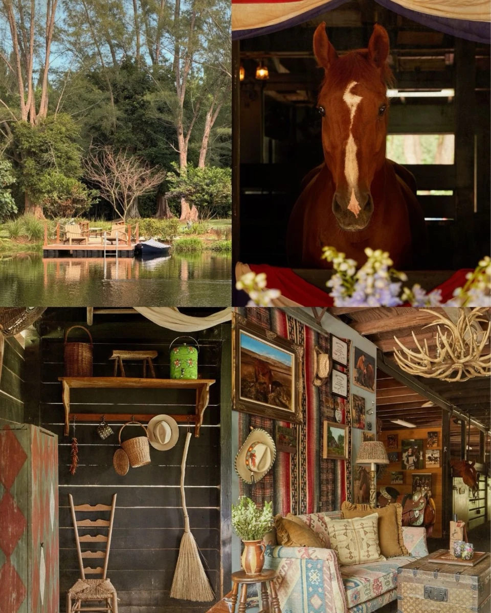 instagram gallery image