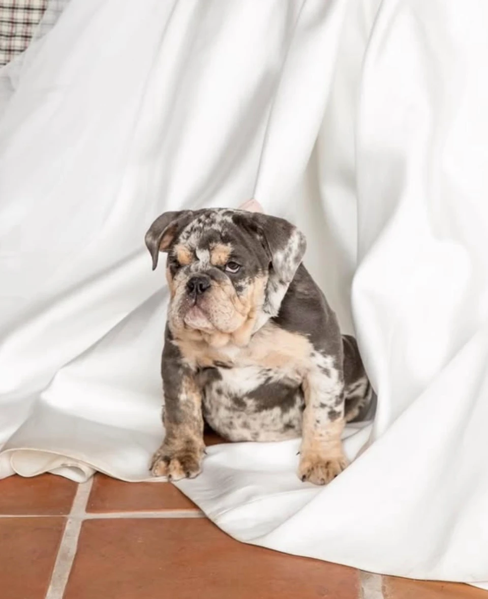 instagram gallery image