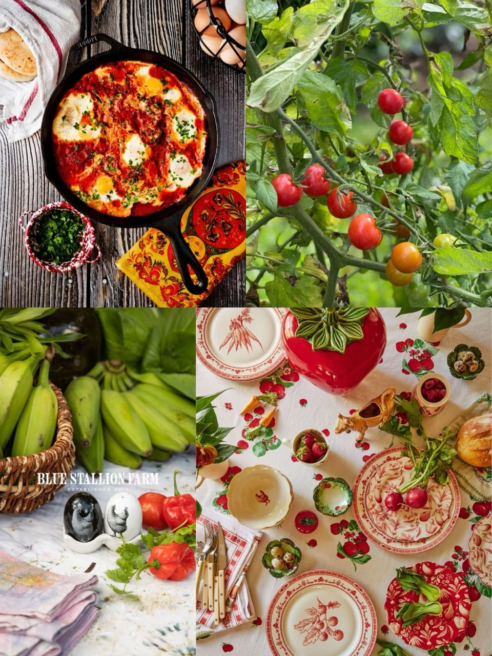 instagram gallery image