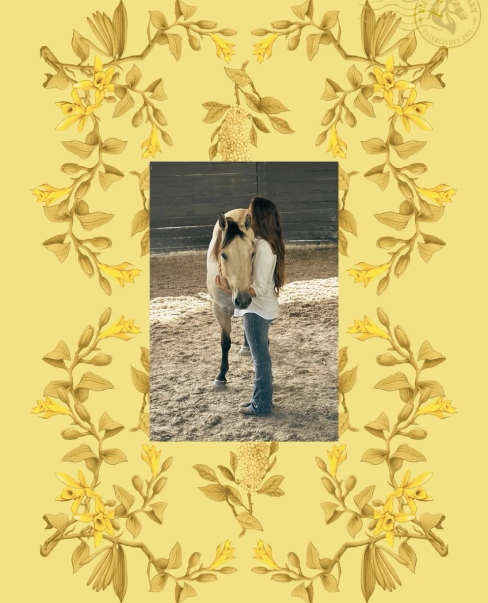 instagram gallery image