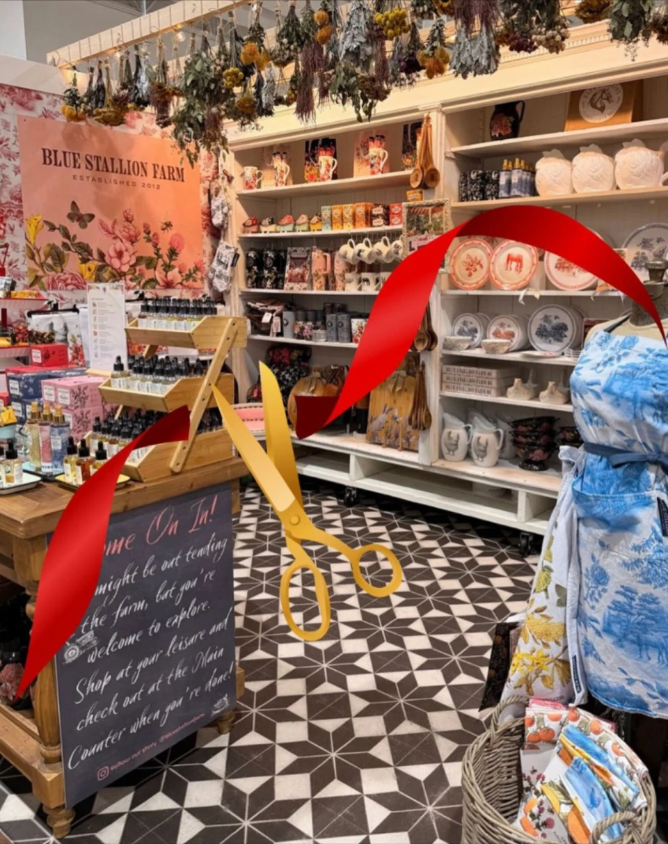 instagram gallery image