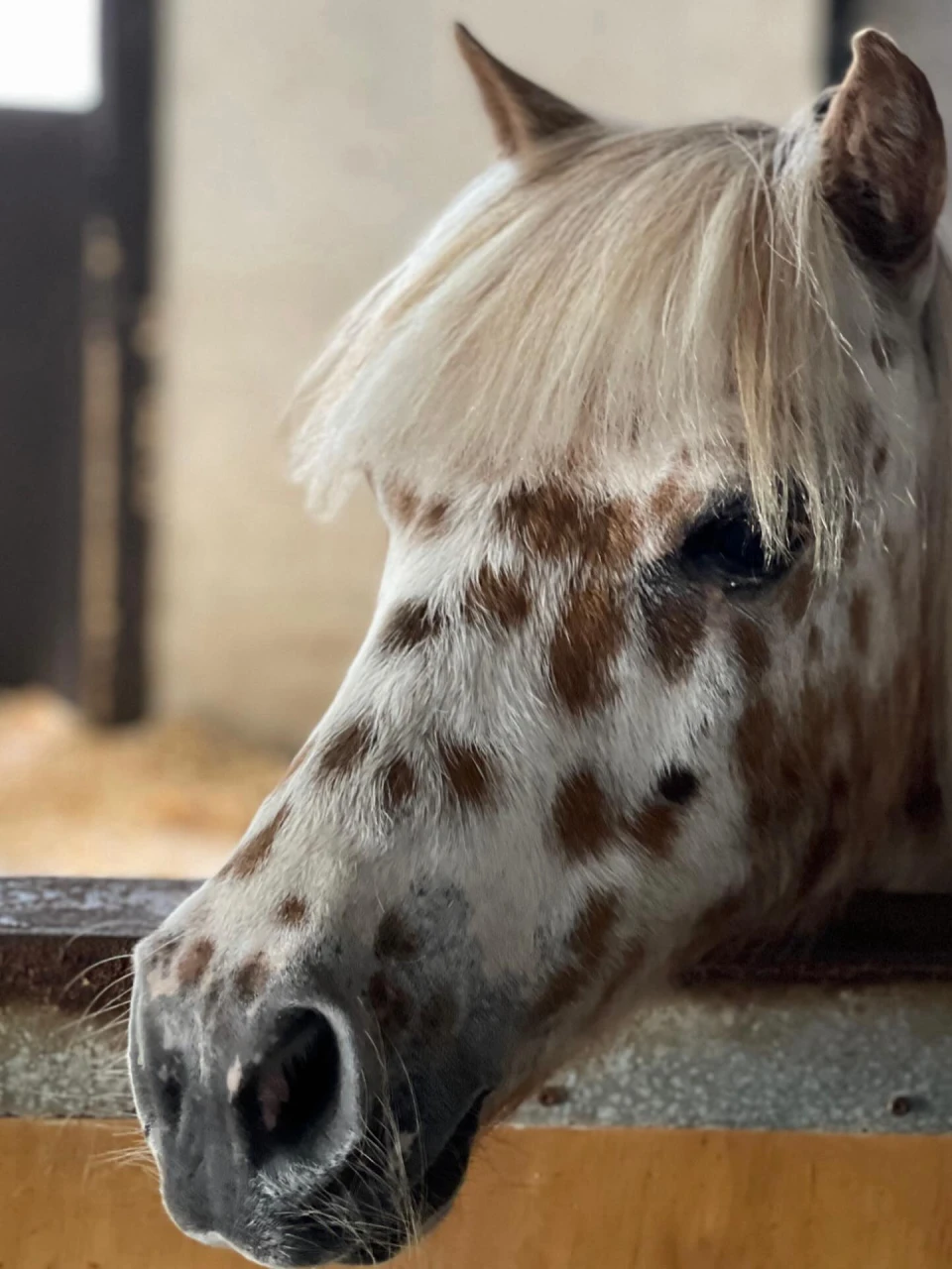 instagram gallery image