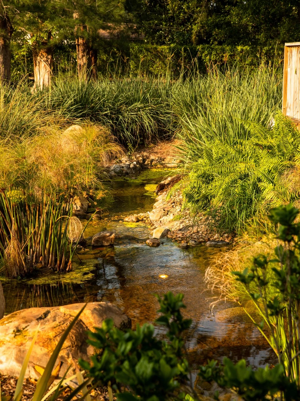 instagram gallery image