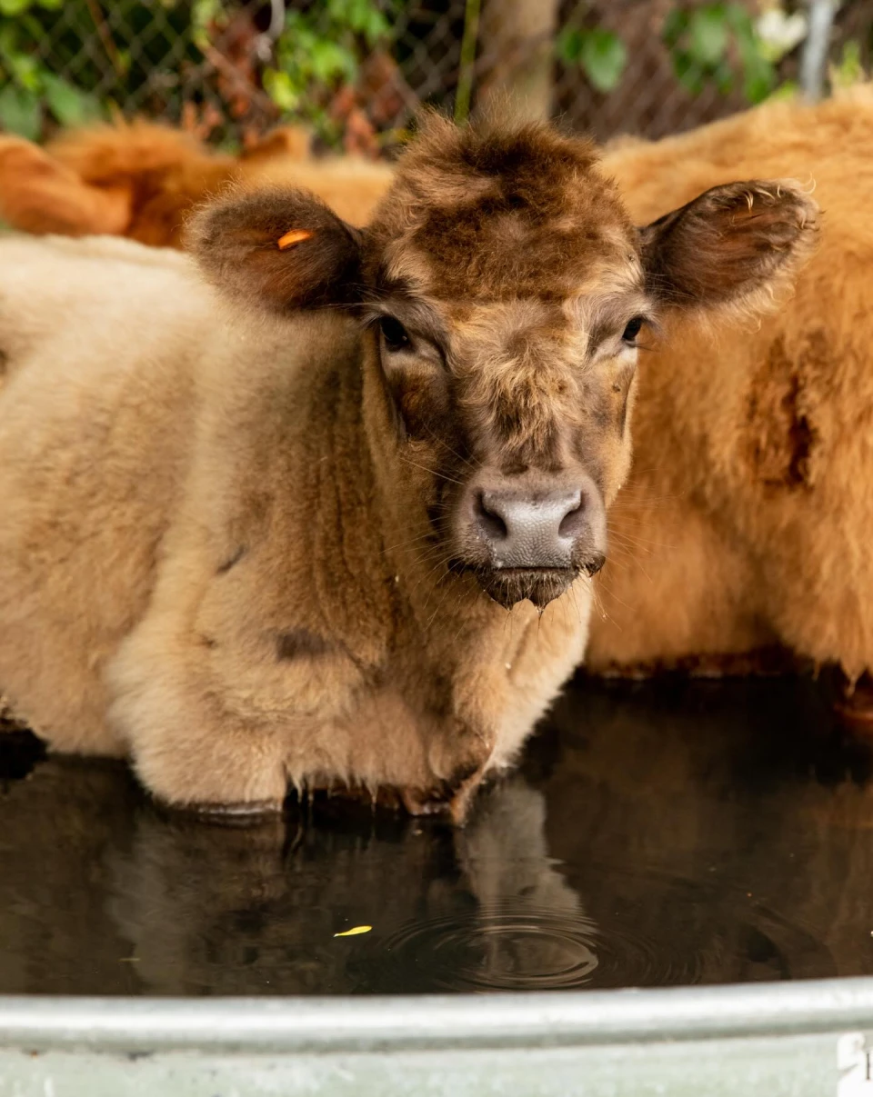 instagram gallery image