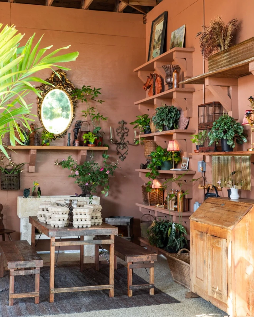 instagram gallery image