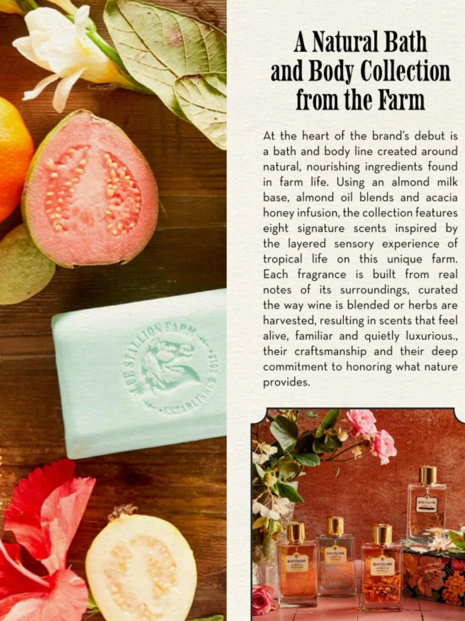 instagram gallery image