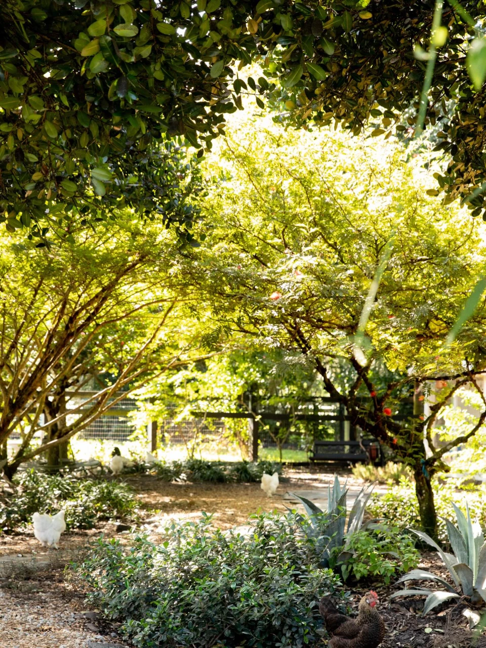 instagram gallery image