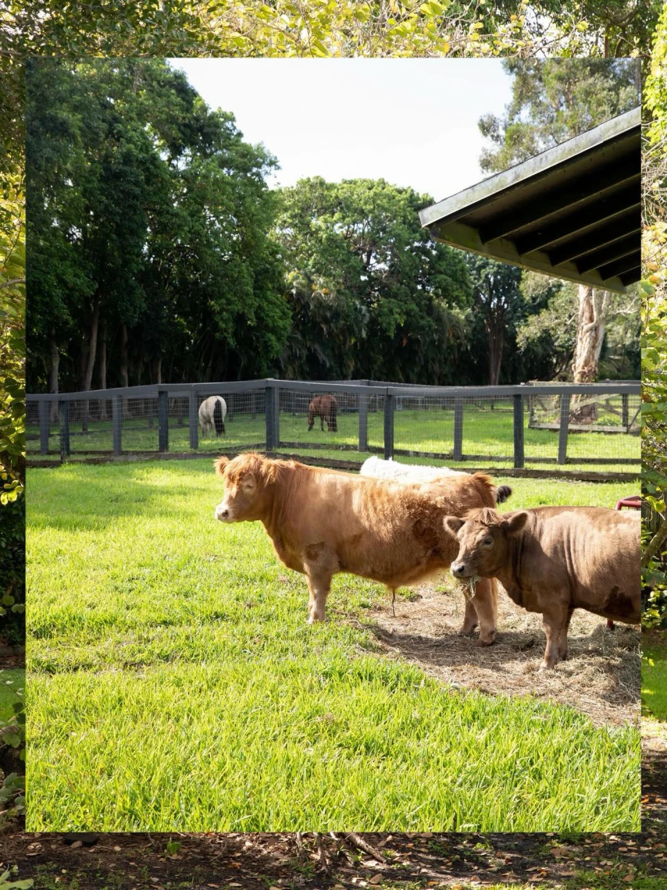 instagram gallery image