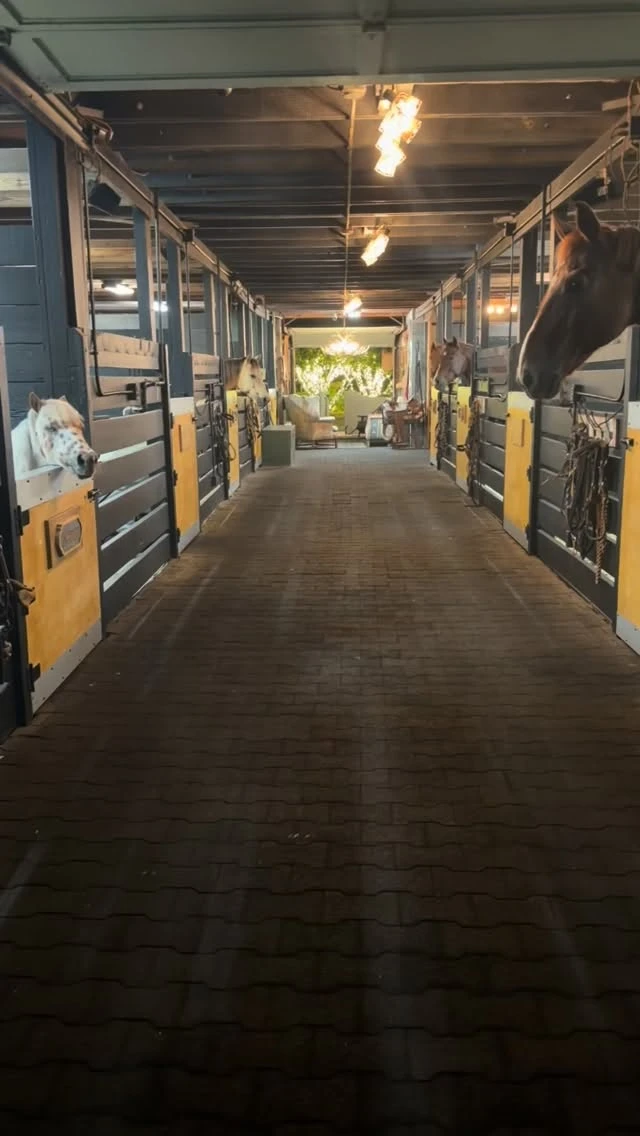 instagram gallery image