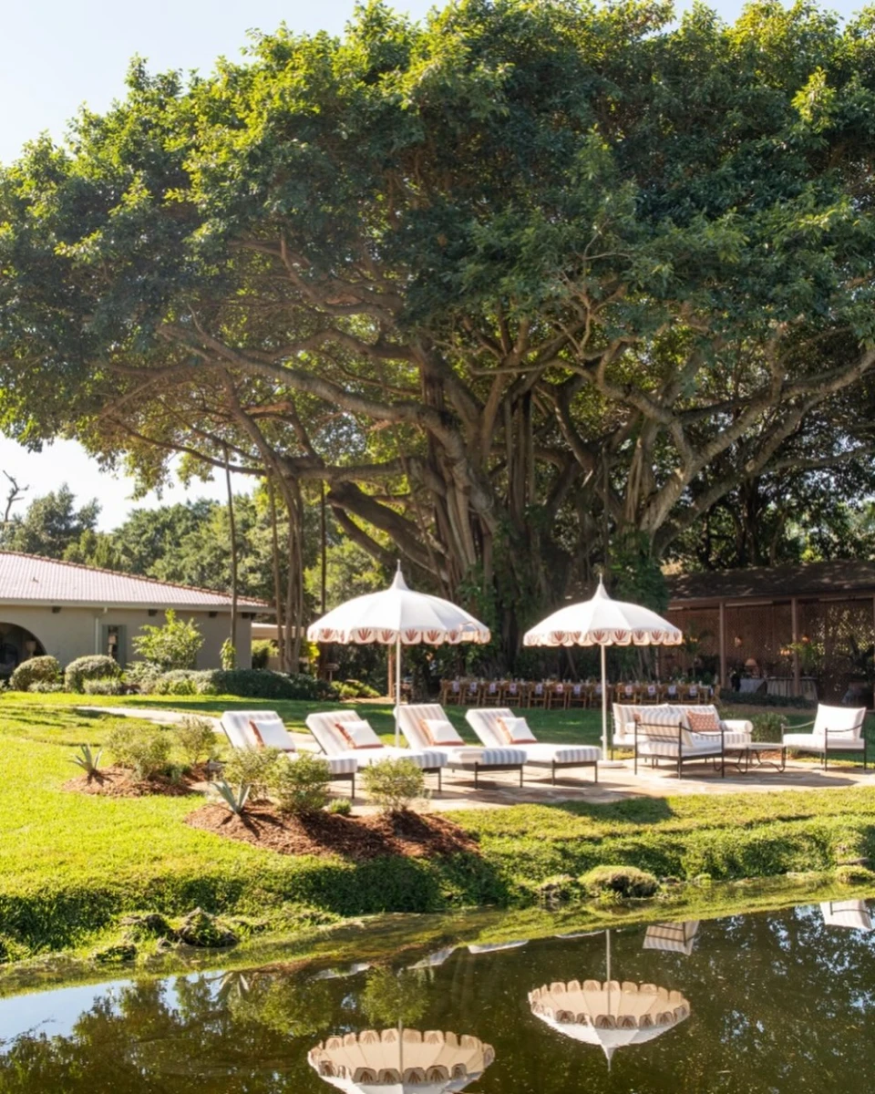 instagram gallery image