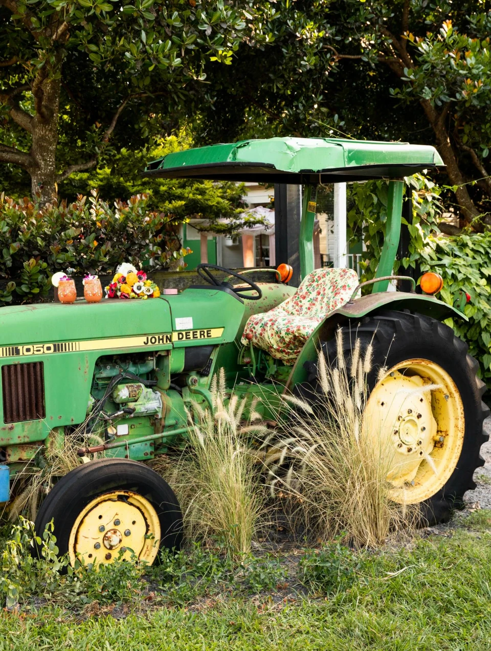 instagram gallery image