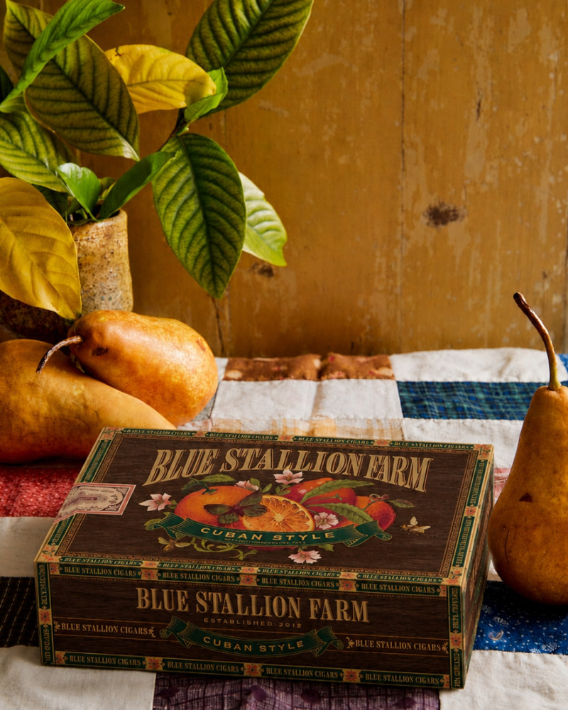 Untitled design (51).jpg PF24659 BSF-CIBOX-CB-FC Kitchen and Home Blue Stallion Farm Cuban Style Cigar Box Cabana Bloom Lifestyle Photography