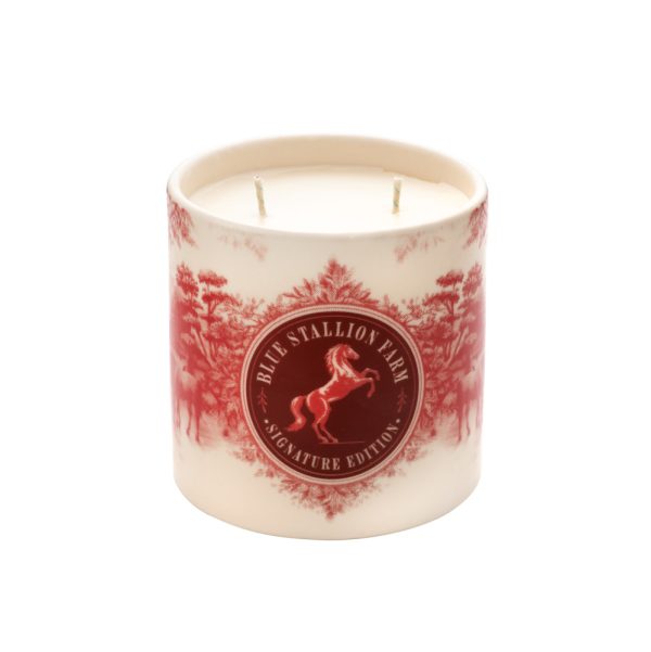 Candle - 425g